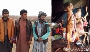 نام: Dog-Meat-Sellers-Arrested-in-Afghanistan-300x175--.jpg نمایش: 356 اندازه: 20.0 کیلو بایت