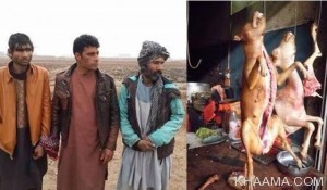 نام: Dog-Meat-Sellers-Arrested-in-Afghanistan-300x175--.jpg نمایش: 2065 اندازه: 20.0 کیلو بایت